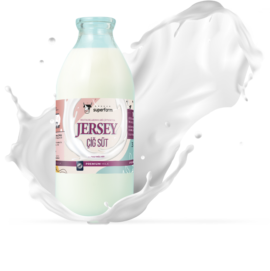 jersey sütü üreticisi bodrum